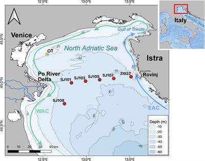 Temporal and Spatial Variability of the CO2 System in a Riverine Influenced Area of the Mediterranean Sea, the Northern Adriatic